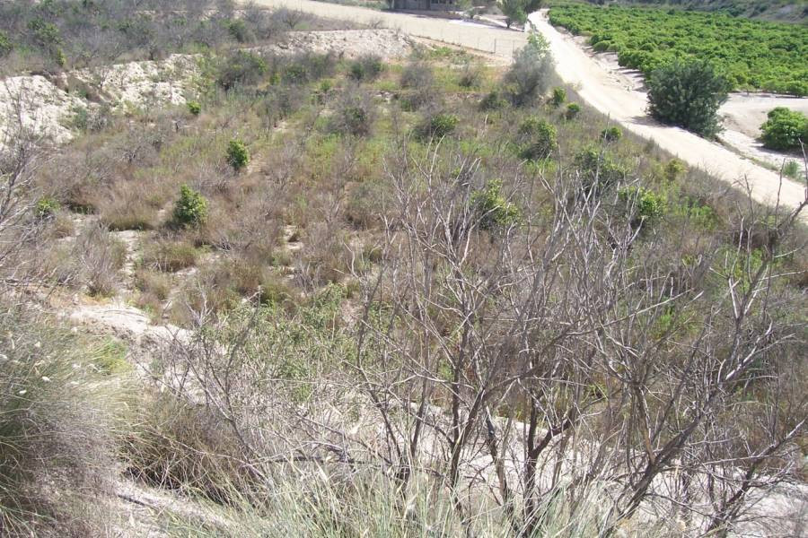 Terreno rural en venta en Orihuela Terreno rural arneva