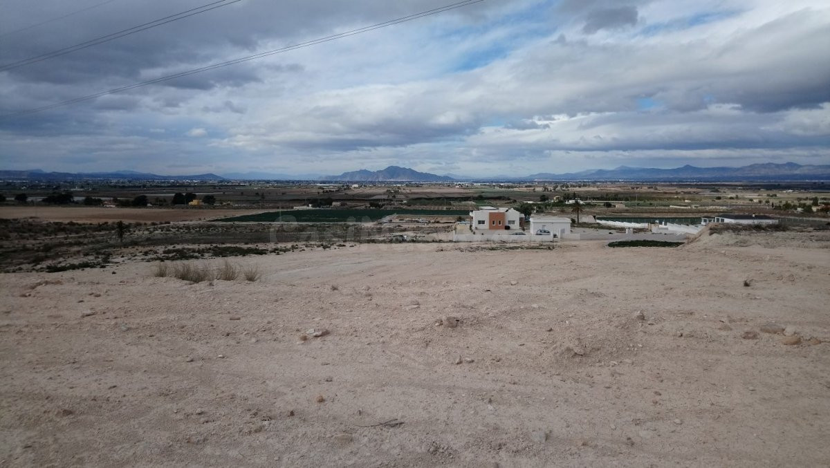 Venta de 10 parcelas de 10.000 M2 en zona OASIS, LA MARINA
