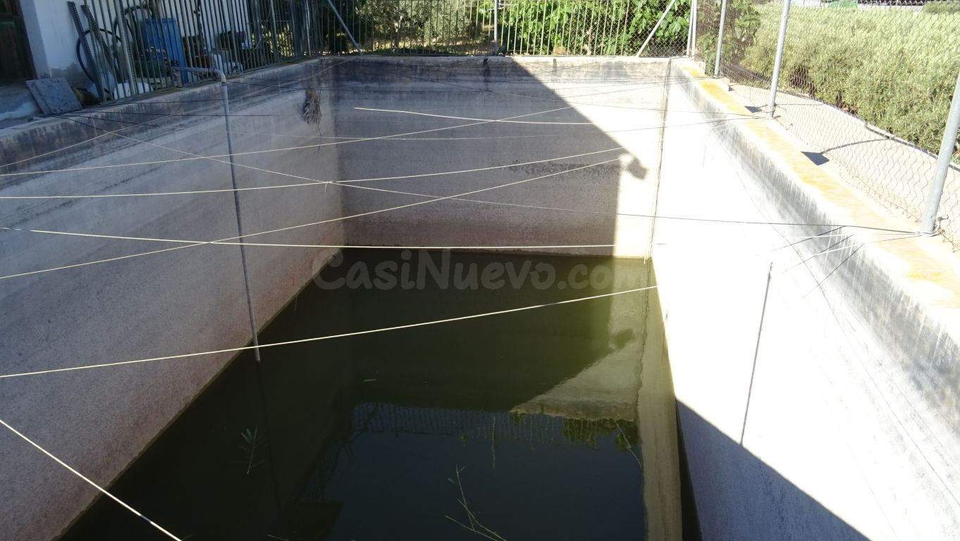 Parcela de 12.000 M2 en Peña Las Águilas, con nave de 260 M2 - foto 4