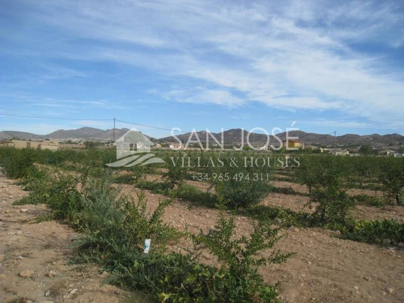 Venta de parcela en Aspe Alicante