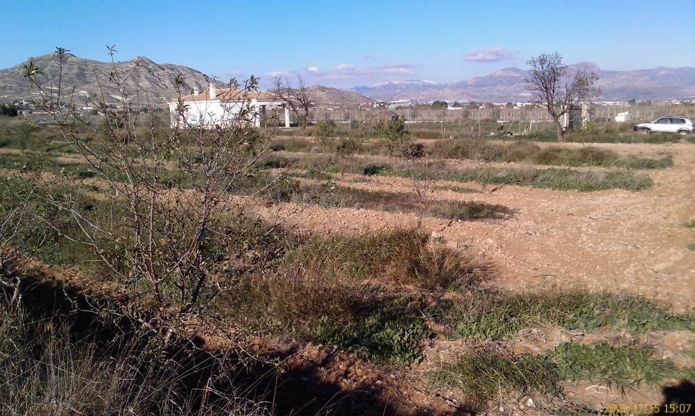 Inmobiliaria San Jose vende parcela en Aspe