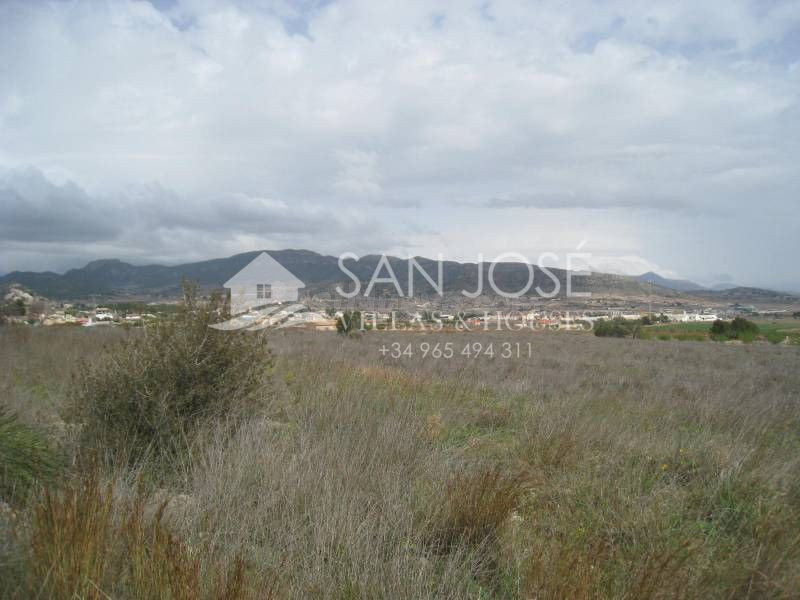 VENTA DE PARCELA EN LA ROMANA ALICANTE