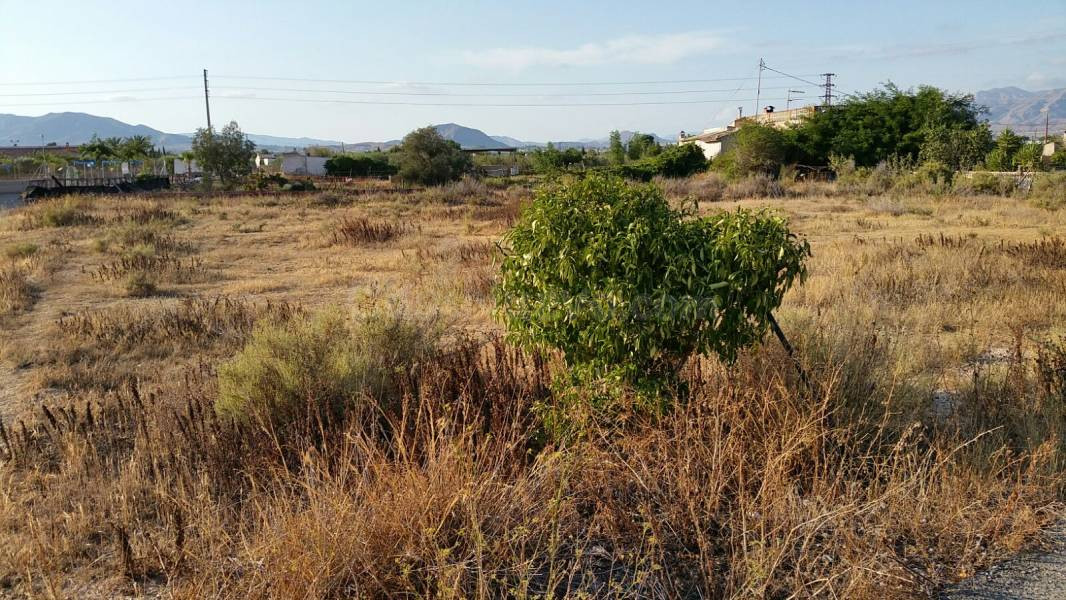 SE VENDE TERRENO EN ASPE, ALICANTE, ESPAÑA, SPAIN.