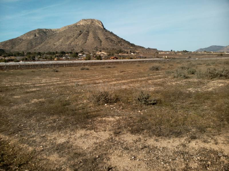 VENTA DE PARCELA DE 20.800 M2 EN ASPE EN BUENA ZONA CON AGUA DE RIEGO CON BUENAS VISTAS