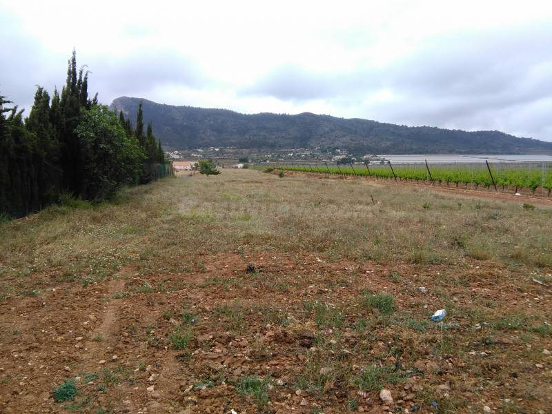 SE VENDE TERRENO RUSTICO EN ASPE ZONA ALCANA