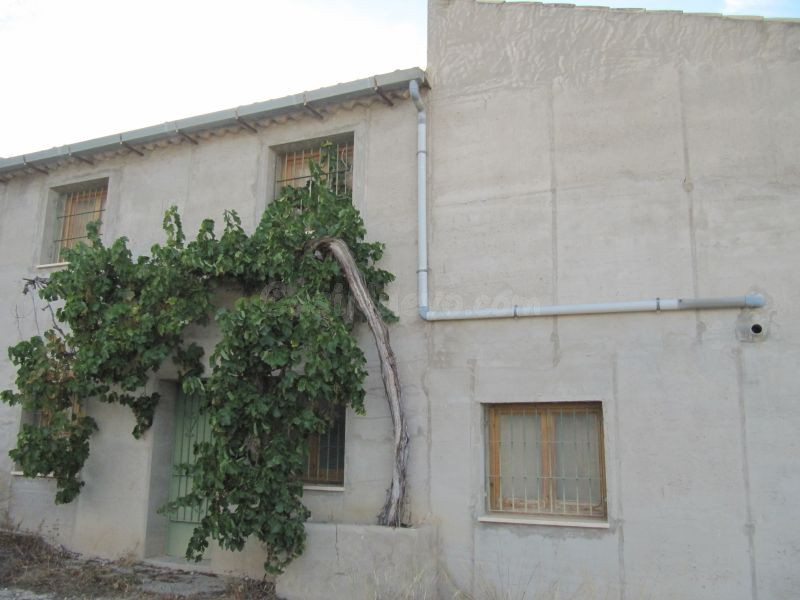 Finca rustica en Salinas con casa semireformada de 300 m2 y 50 ha.
