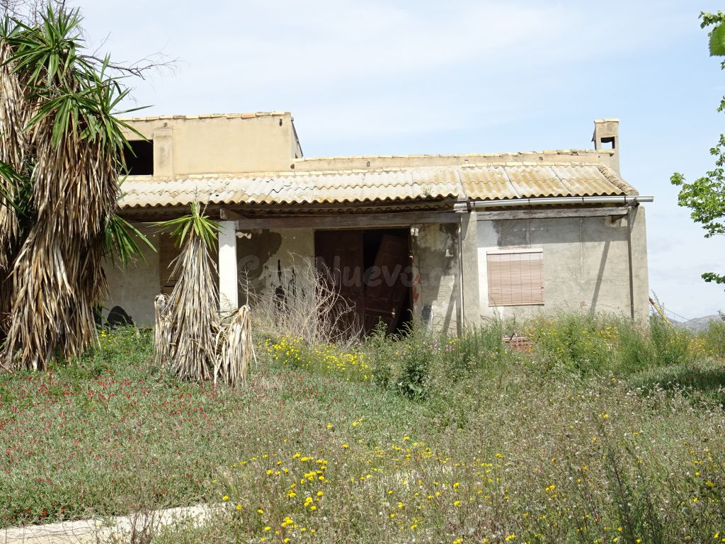 ESPLENDIDA FINCA RUSTICA CON CASA PARA CULTIVAR EN ASPE EN VENTA