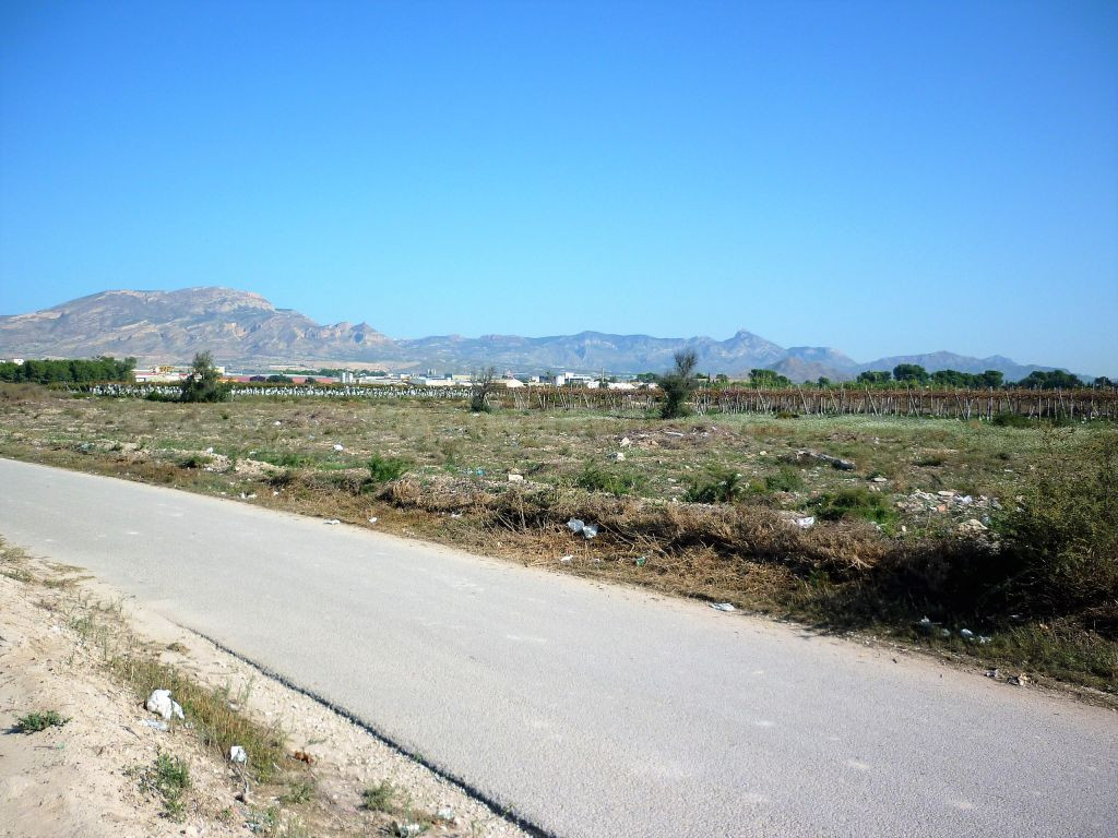 Terreno en el camino de elche, monforte del cid