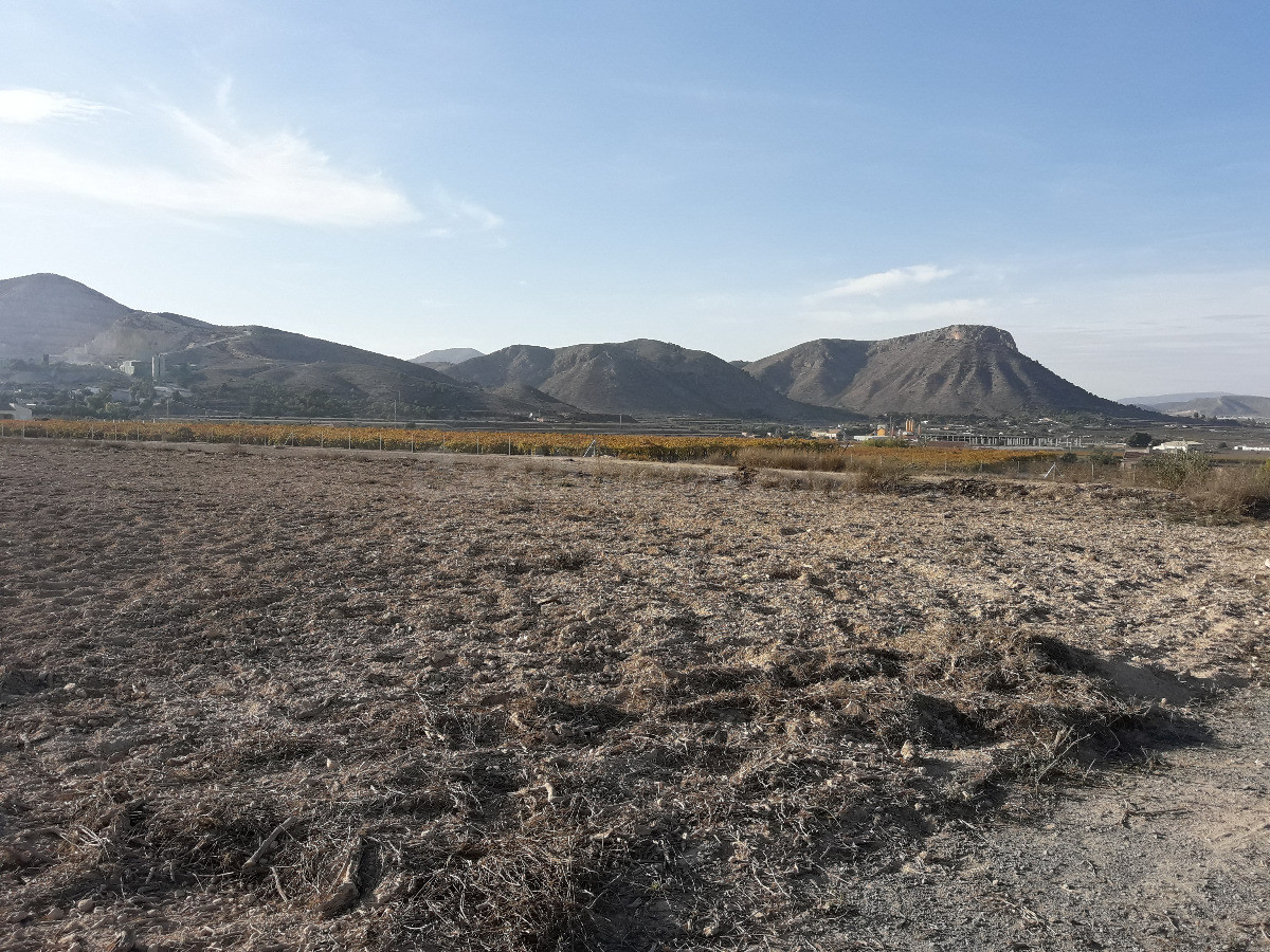 TERRENO RUSTICO PARA CONSTRUIR EN ASPE ZONA DEL TOLOMO