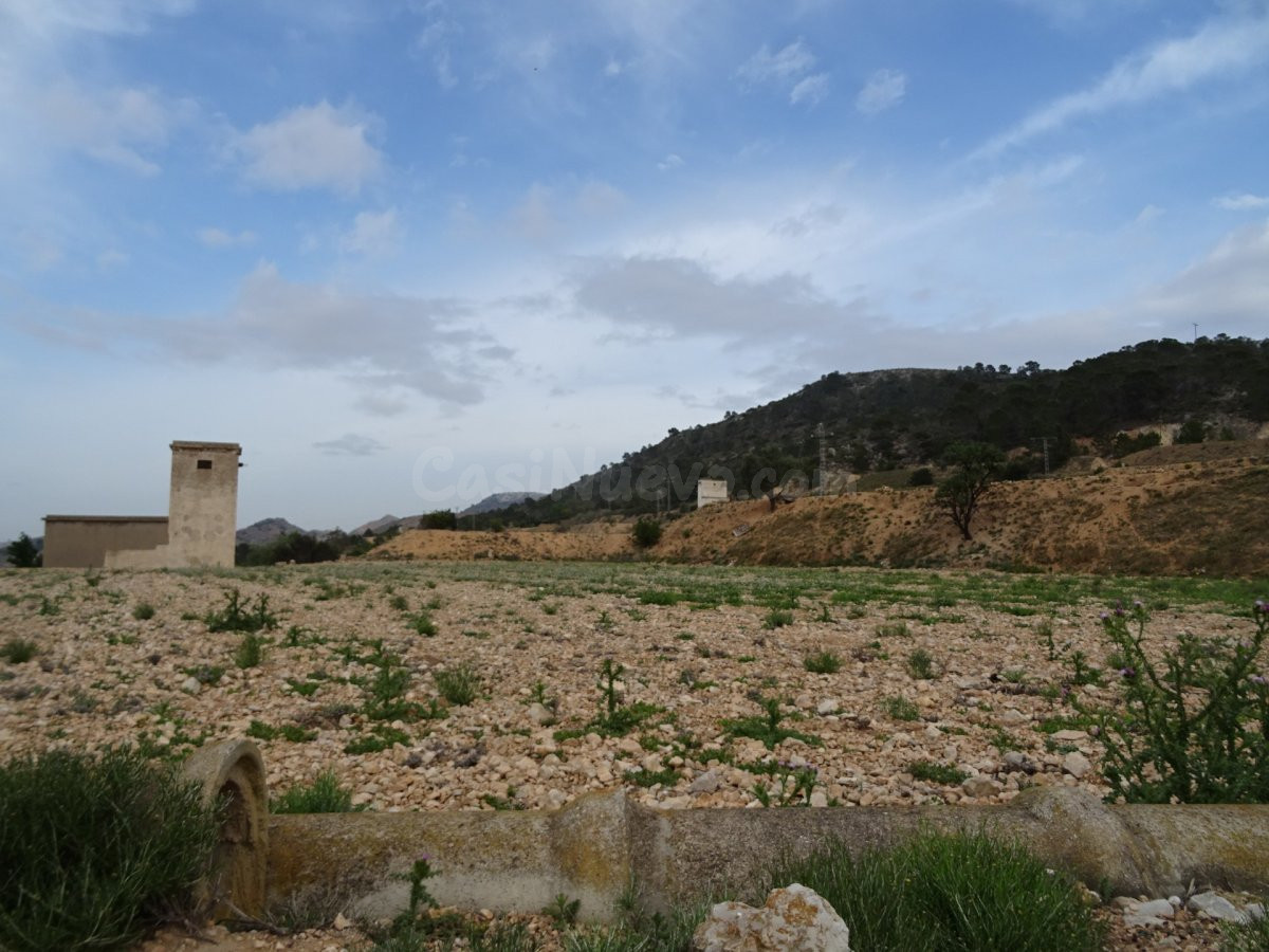 FINCA RUSTICA EN EL TOLOMO-UMBRIA EN HONDON DE LAS NIEVES