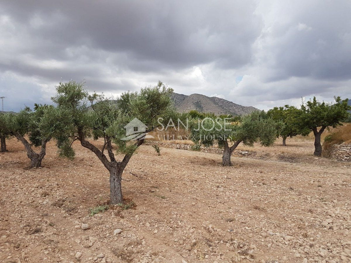 VENTA DE TERRENO RUSTICO EN LA CANALOSA