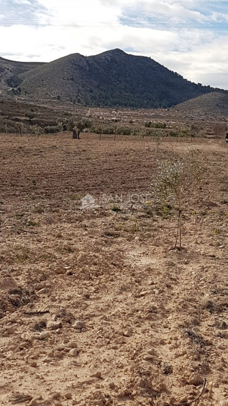 VENTA DE TERRENO RUSTICO EN LA CANALOSA - foto 2