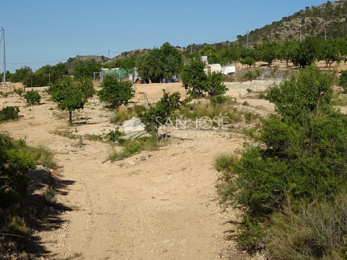 SE VENDE TERRENO RUSTICO AL PIE DE LA MONTAÑA EN HONDON DE L - foto 2