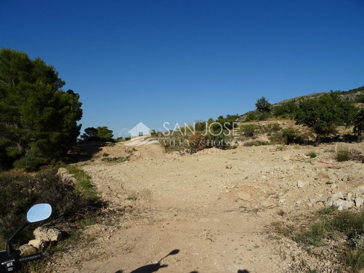 SE VENDE TERRENO RUSTICO AL PIE DE LA MONTAÑA EN HONDON DE L - foto 3