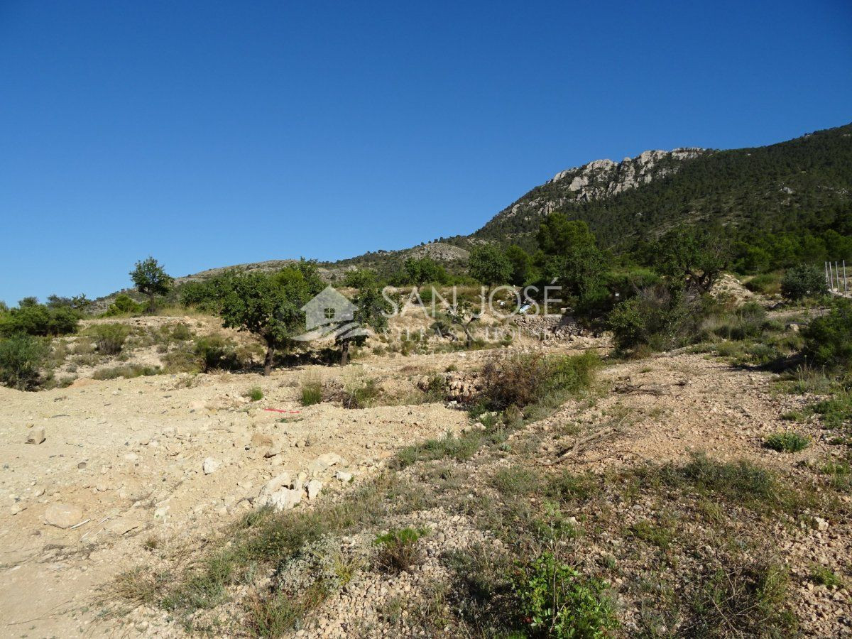 SE VENDE TERRENO RUSTICO AL PIE DE LA MONTAÑA EN HONDON DE L - foto 4