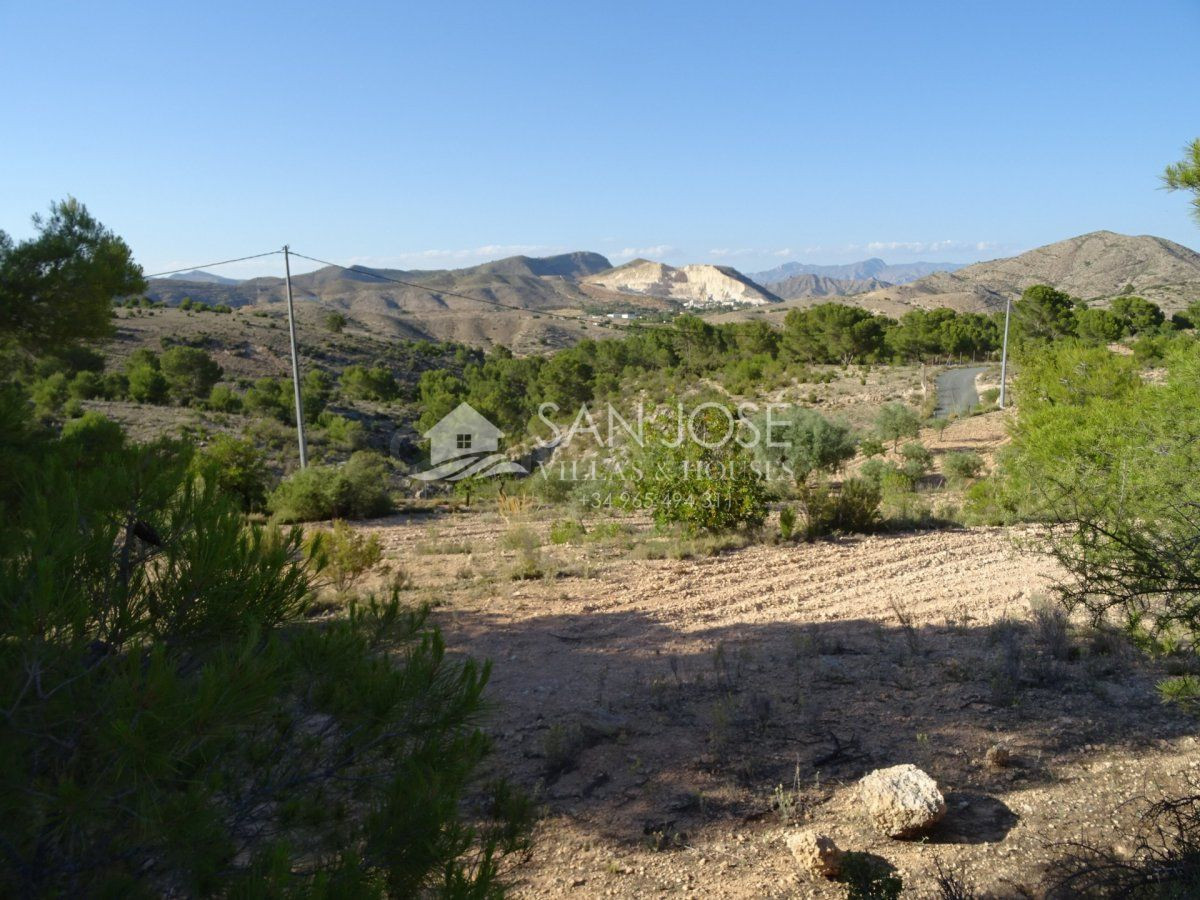 SE VENDE TERRENO RUSTICO AL PIE DE LA MONTAÑA EN HONDON DE L - foto 5