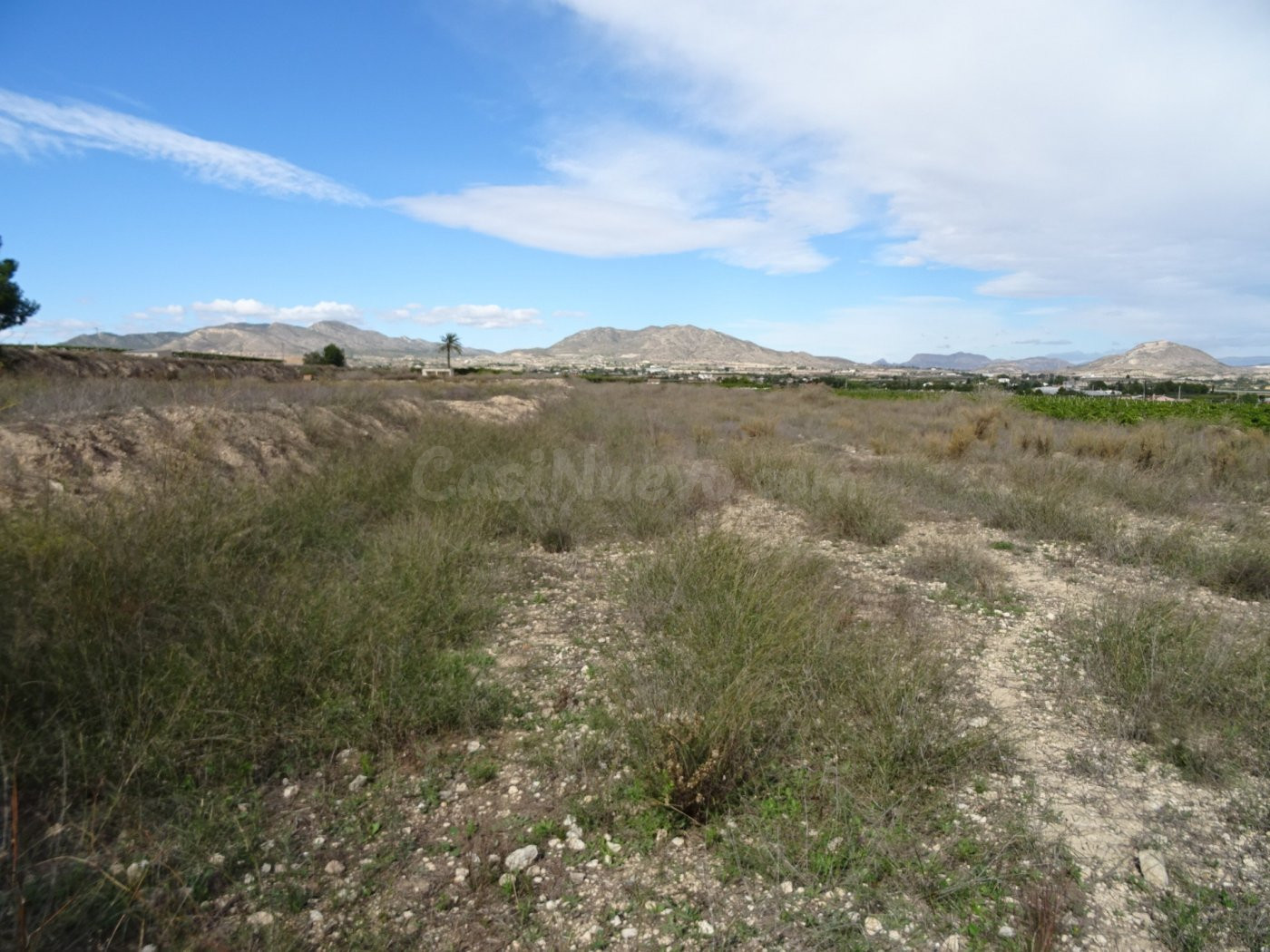 SE VENDE TERRENO EN LA ZONA DE LA HORNA EN ASPE