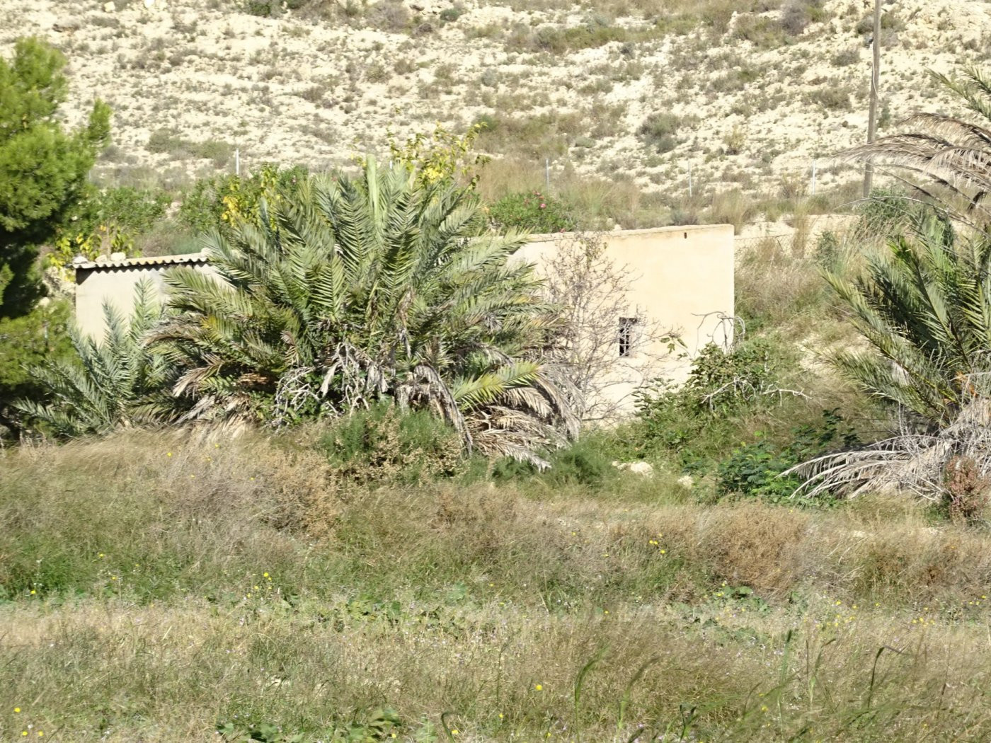 SE VENDE PARCELA DE 20814 M2 CON ALMACÉN DE 45 M2 EN ASPE ZONA DE BORISA