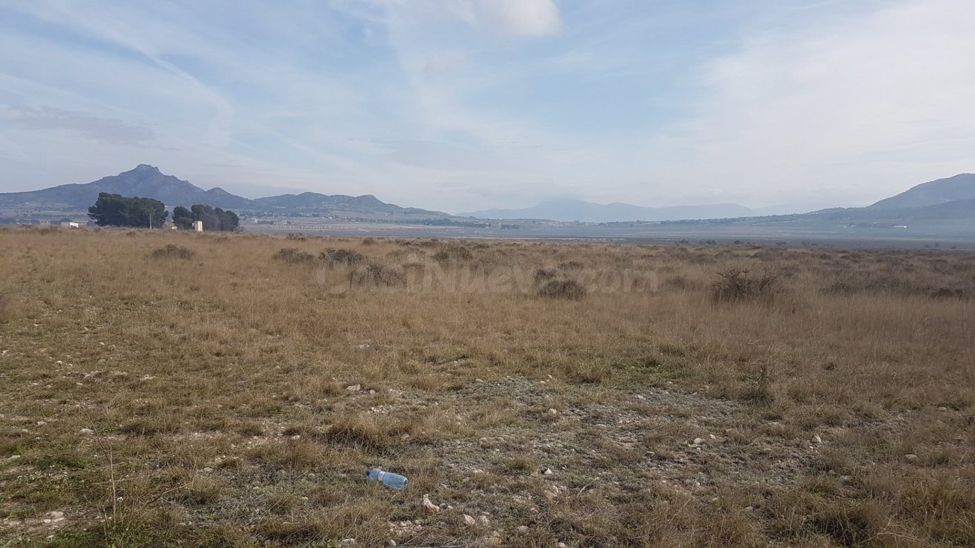 SE VENDE CUATRO PARCELAS EN SALINAS, DOS DE 50.000m Y DOS DE - foto 4