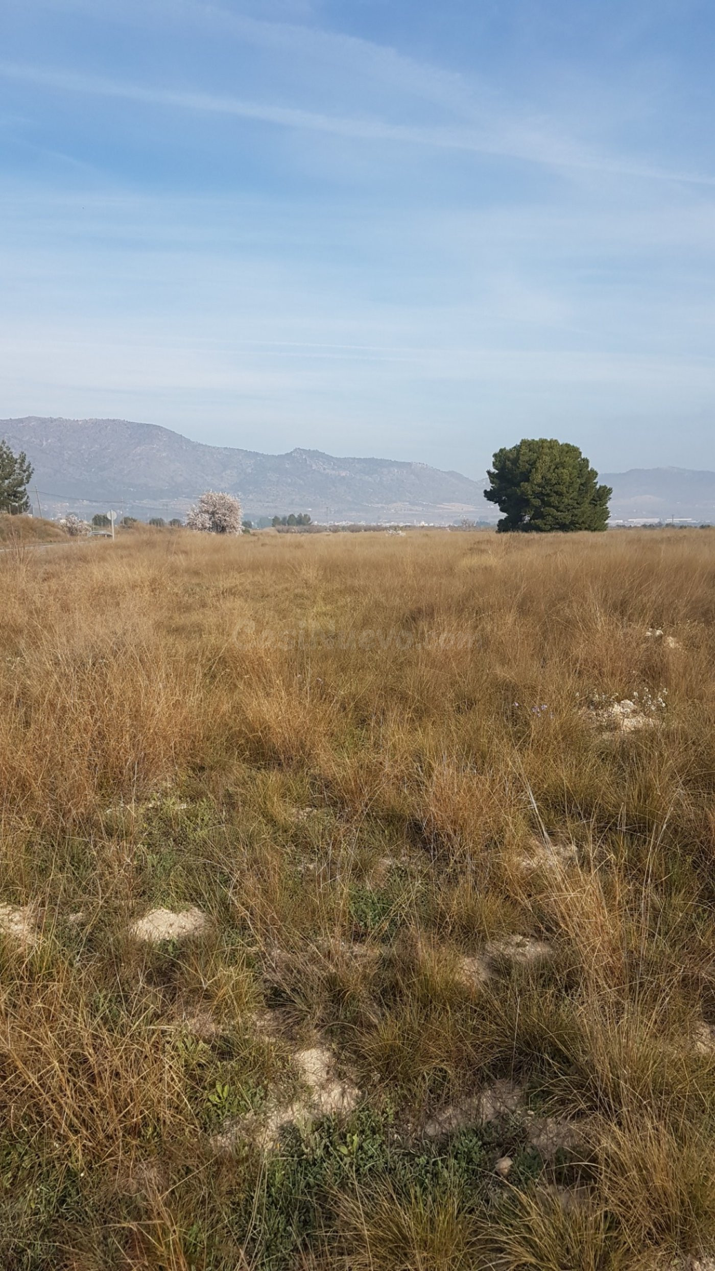 SE VENDE CUATRO PARCELAS EN SALINAS, DOS DE 50.000m Y DOS DE - foto 5