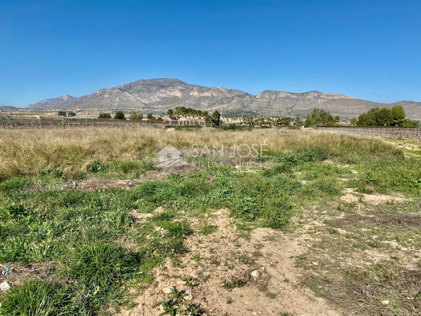 VENTA DE PARCELA RUSTICA EN HONDÓN DE LAS NIEVES-ALICANTE, MUY CERCA DE LA CIUDAD