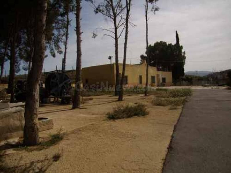 OPORTUNIDAD FINCA EN CARRETERA PINOSO - YECLA A LA VENTA