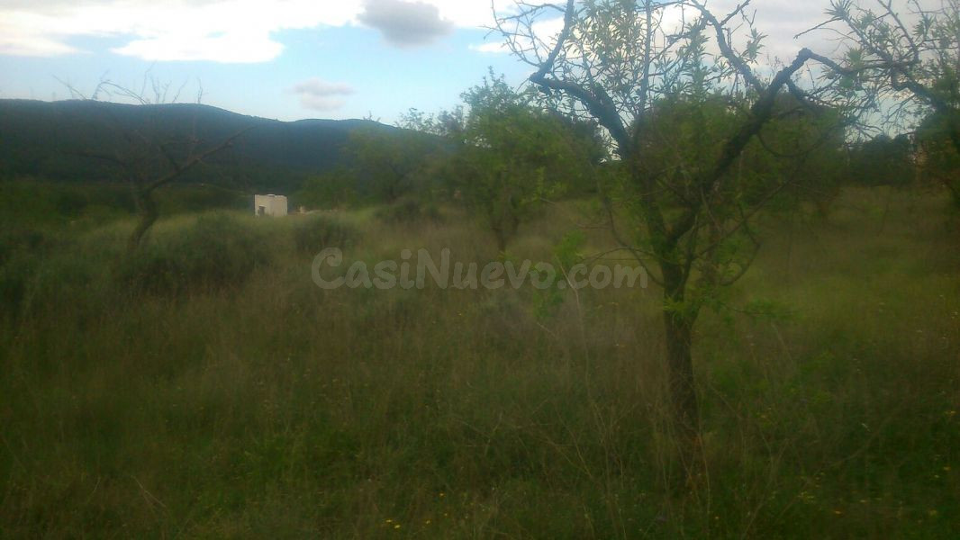 TIENE CASA EN RUINAS ,. TIENE CUEVA CON AGUA NATURAL , CASA 