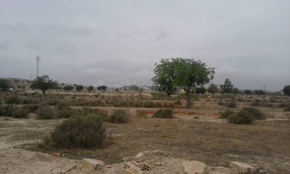 SE VENDE O ALQUILA TERRENO CON CASA PARA REFORMAR , 25.000 MTS DE TERRENO , PRECIO ALGO NEGOCIABLE