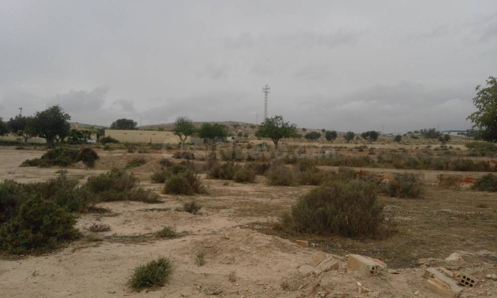 SE VENDE O ALQUILA TERRENO CON CASA PARA REFORMAR , 25.000 M - foto 2