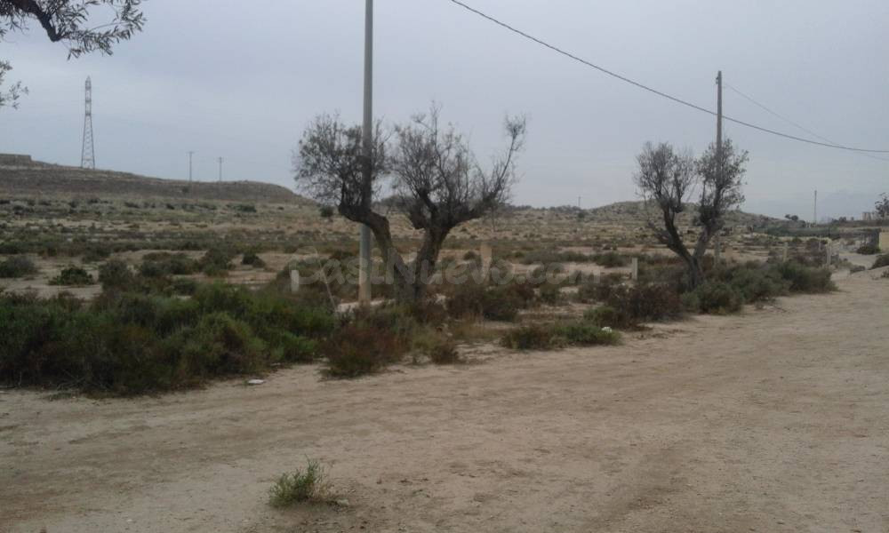 SE VENDE O ALQUILA TERRENO CON CASA PARA REFORMAR , 25.000 M - foto 3