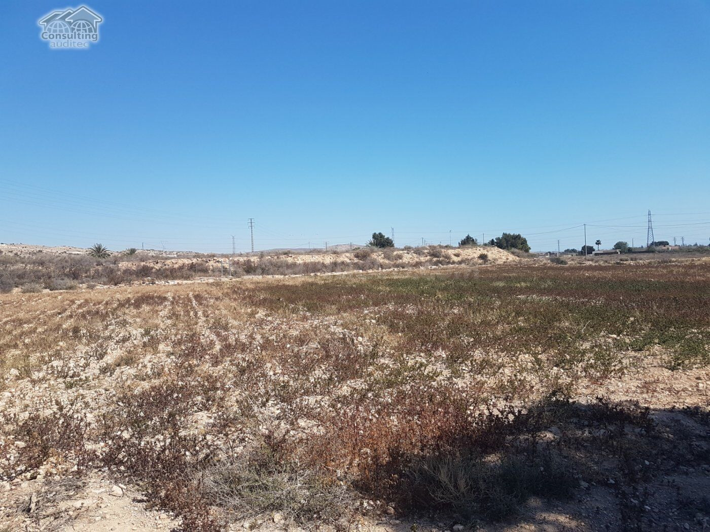 Terreno 10.000 m2 frente Parque Industrial Elche Torrellano