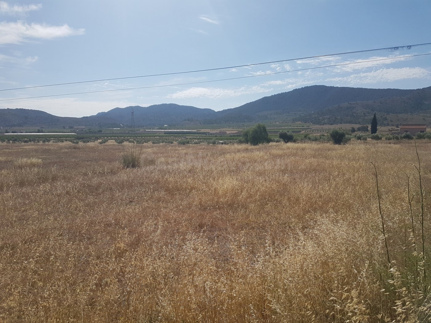 Terreno Hondón de los Frailes primera línea con agua por got - foto 2