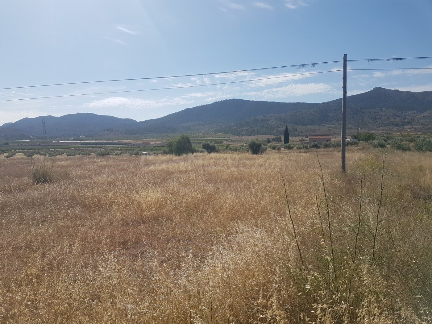 Terreno Hondón de los Frailes primera línea con agua por got - foto 4