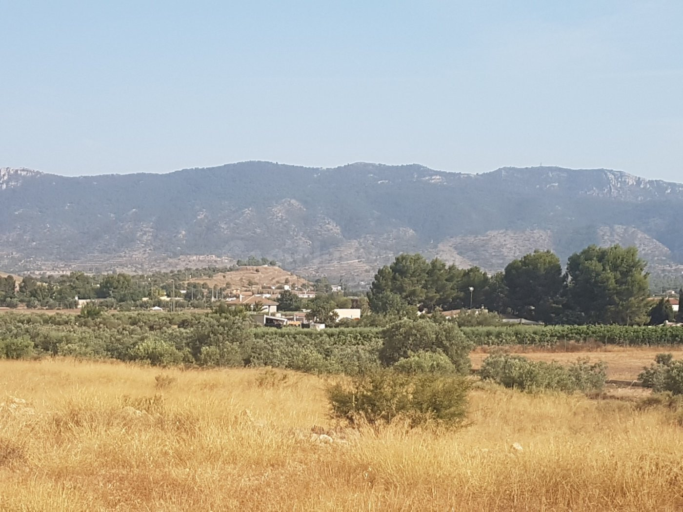 Terreno Hondón de las Nieves para hacer Chalet (Alicante) España