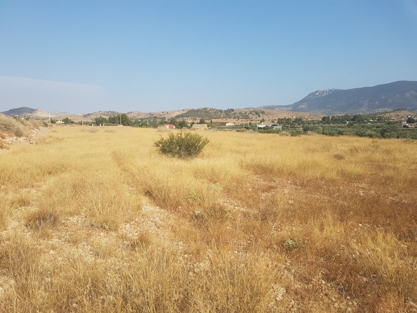 Terreno Hondón de las Nieves para hacer Chalet (Alicante) Es - foto 2