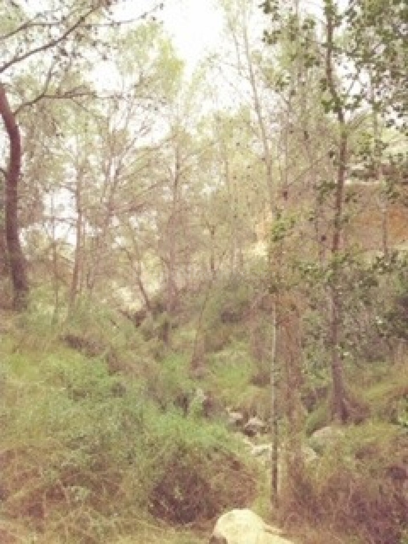 terreno urbanizable en la sierra de Abanilla
