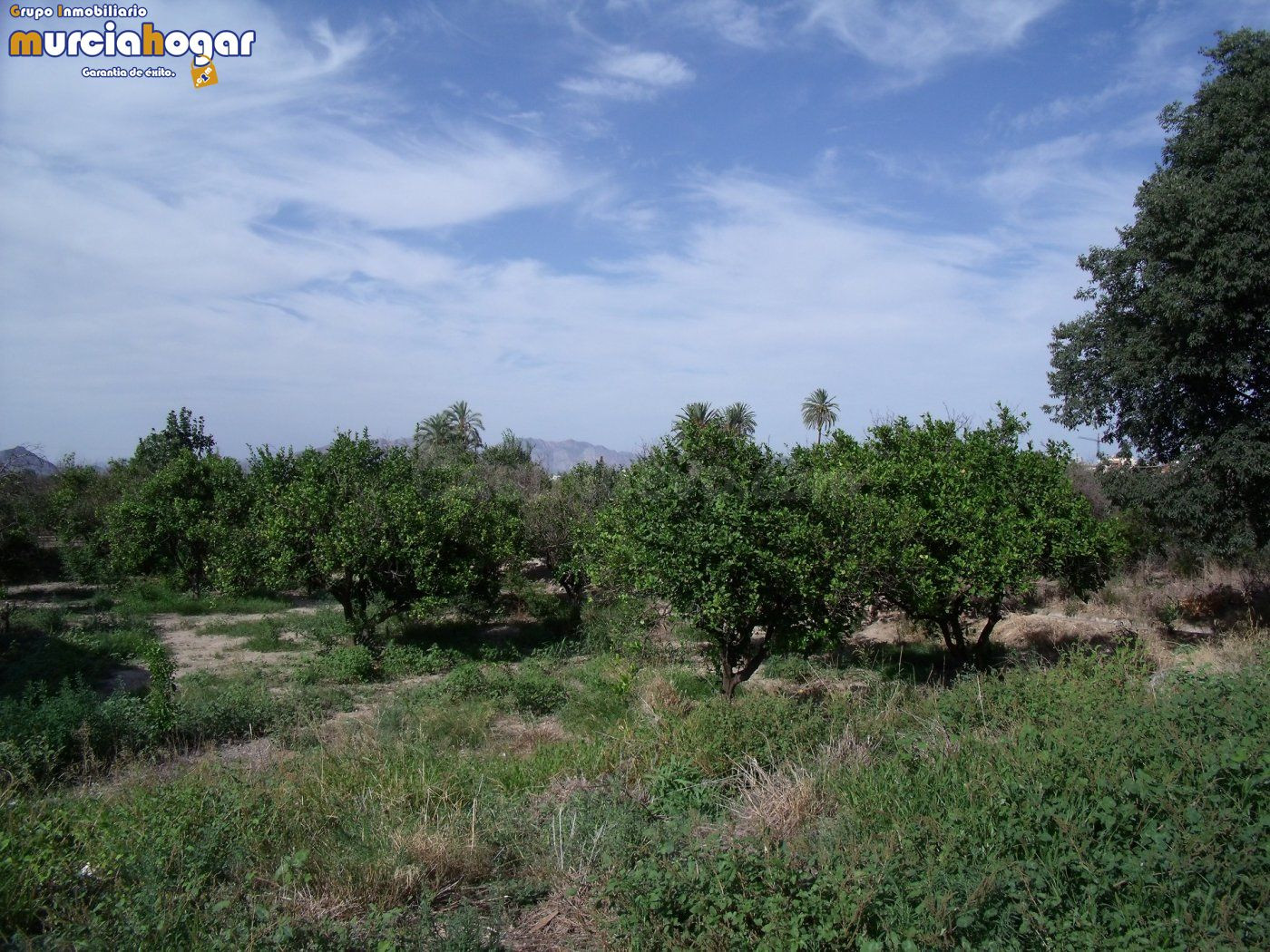 Terreno de huerta en Torreagüera.