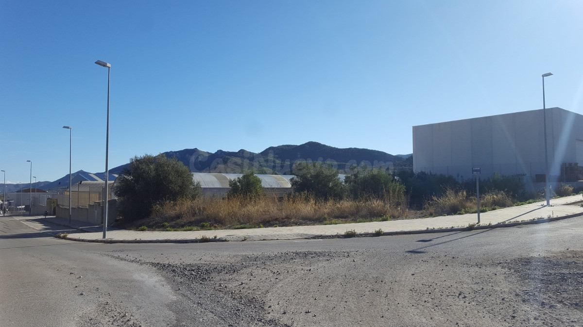 TERRENO INDUSTRIAL - foto 5
