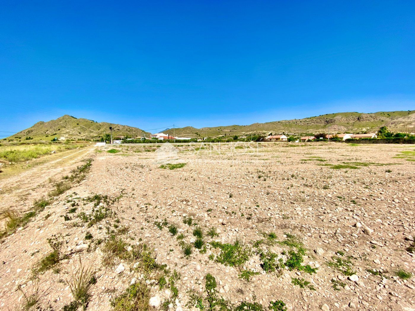 VENTA DE PARCELA DE 7.300 M2 EN ABANILLA EN EL SALADO ALTO - foto 4
