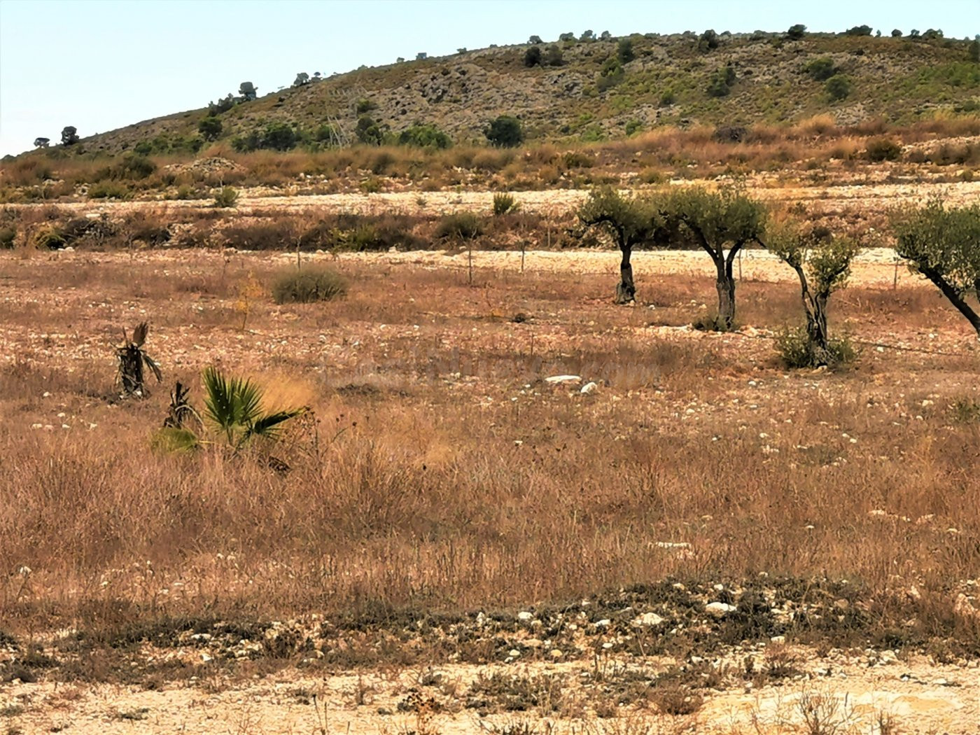 TERRENO URBANIZABLE EN SALINAS ZONA CAMARA BAJA - foto 3