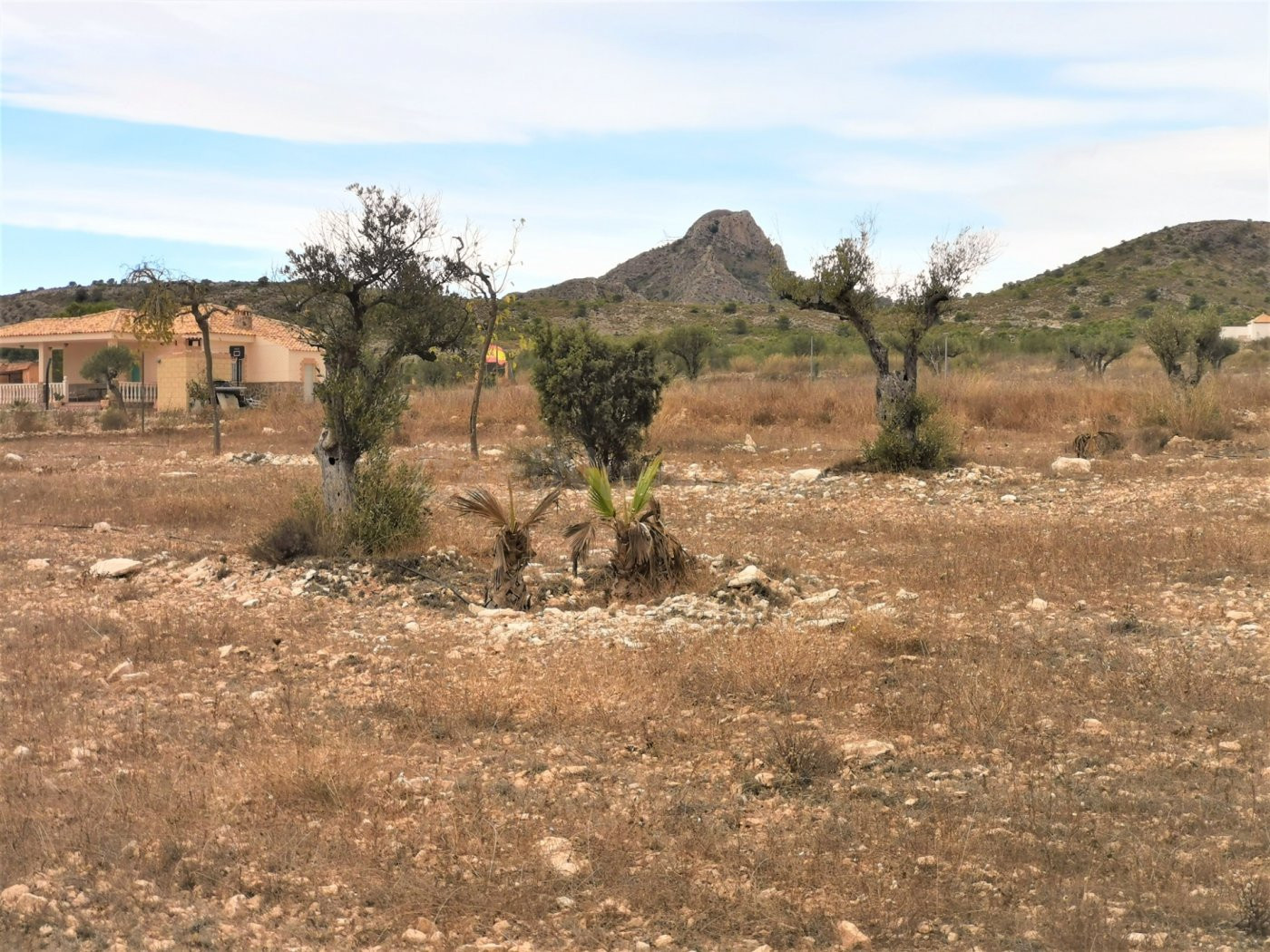 TERRENO URBANIZABLE EN SALINAS ZONA CAMARA BAJA - foto 5