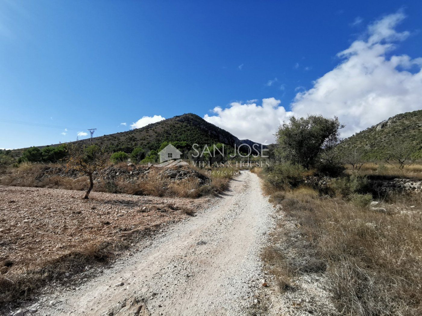 TERRENOS EN MONOVAR ZONA CAVA FRIA CERCA DE ROMANETA