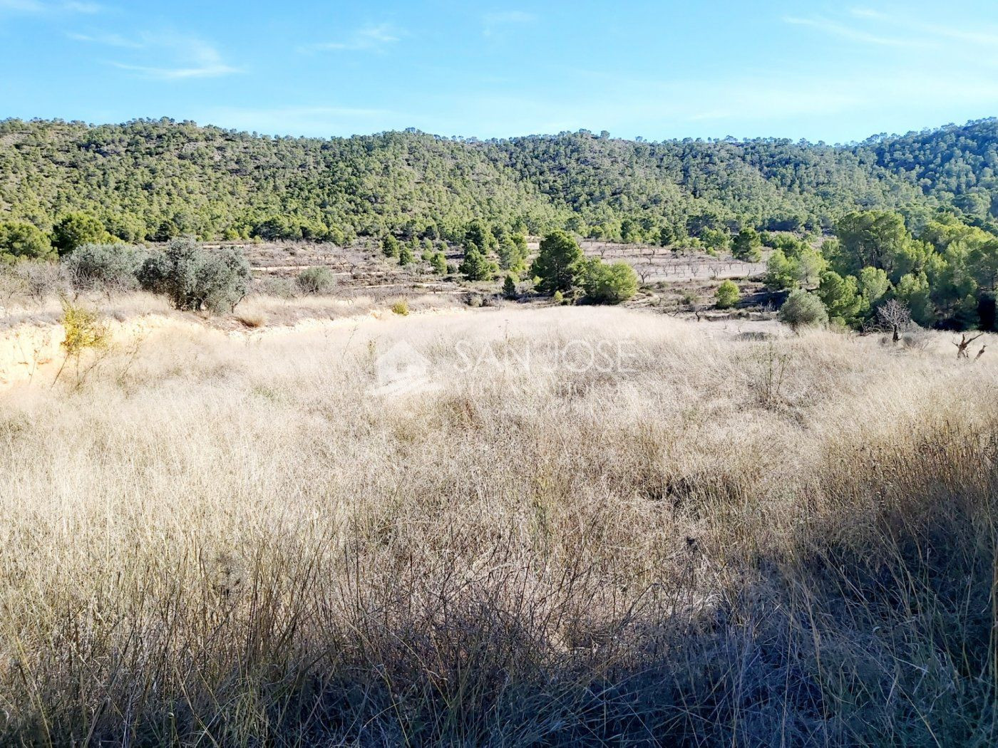 INMOBILIARIA SAN JOSE VENDE TERRENO RURAL EN MONOVAR ZONA LA ROMANETA
