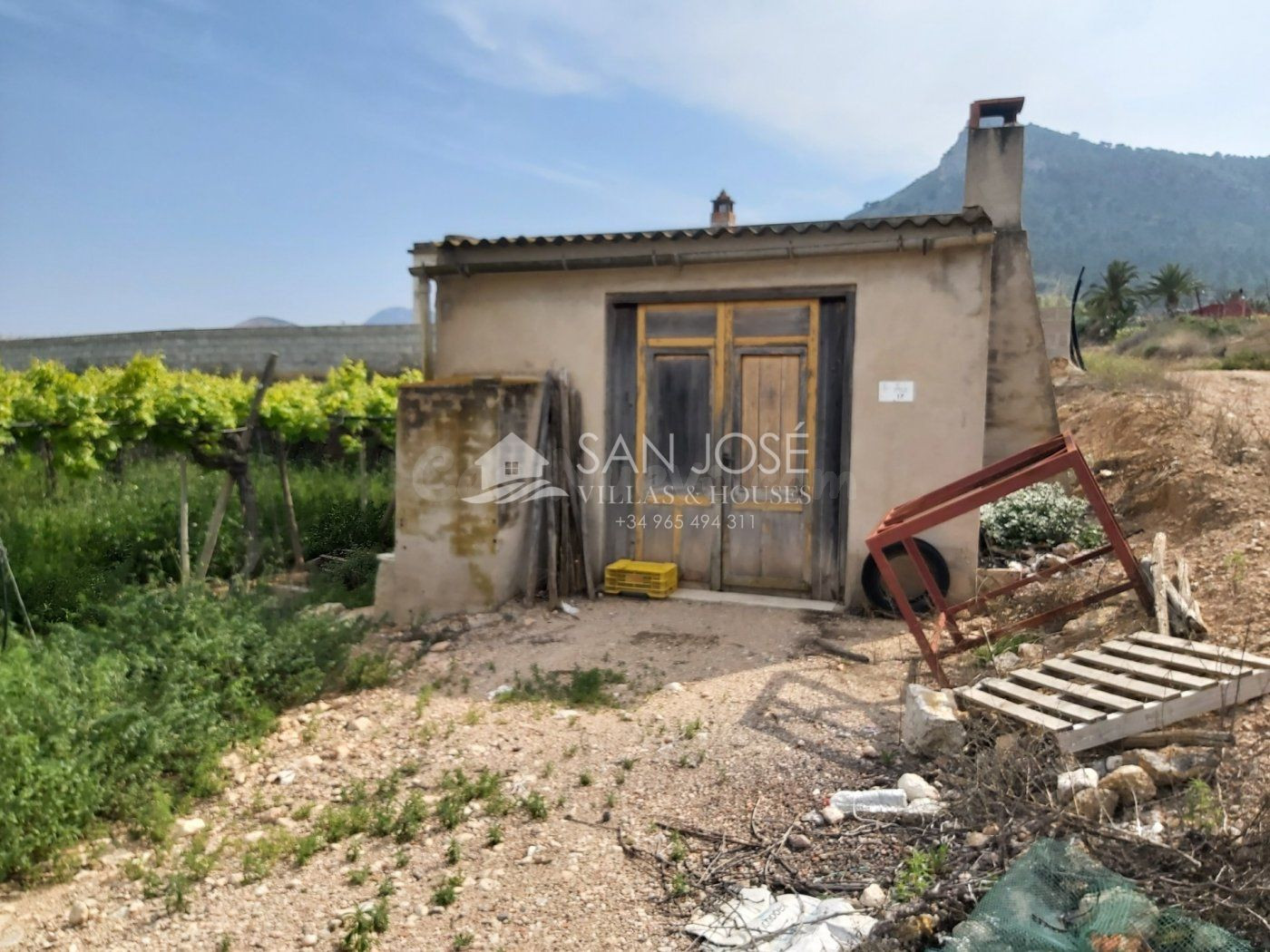 SE VENDE FINCA RUSTICA EN ASPE ZONA ALCANA CERCA DEL PEÑON