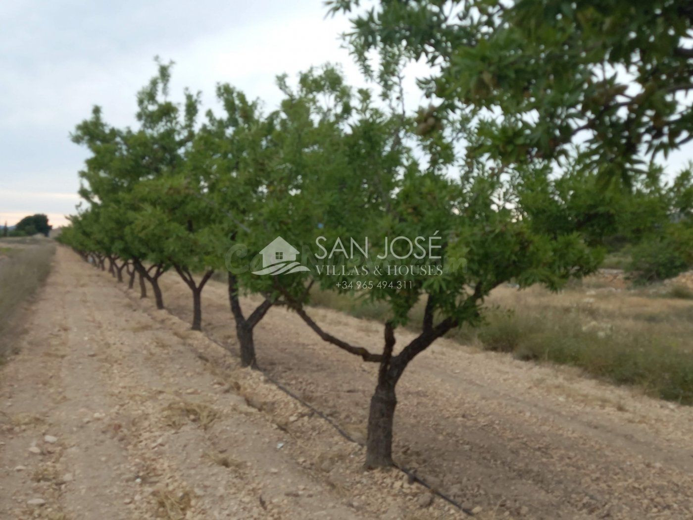 VENTA DE PARCELA RÚSTICO AGRARIO ECOLÓGICO DE REGADÍO