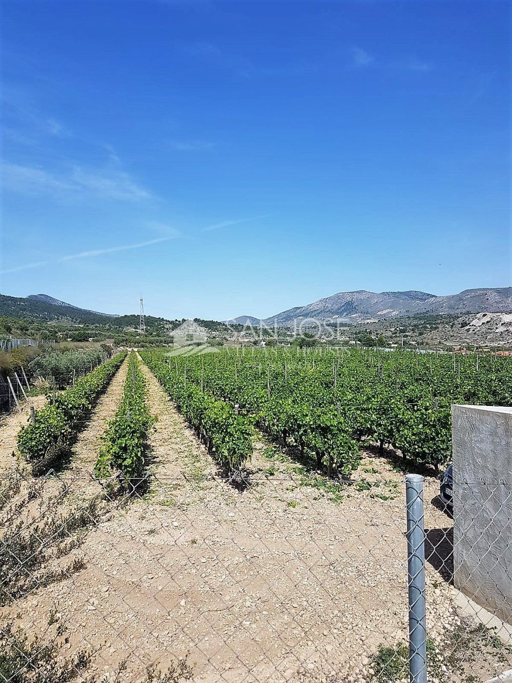 SE VENDE TERRENO EN LA ROMANA EN ZONA LA CAVA (ALICANTE)