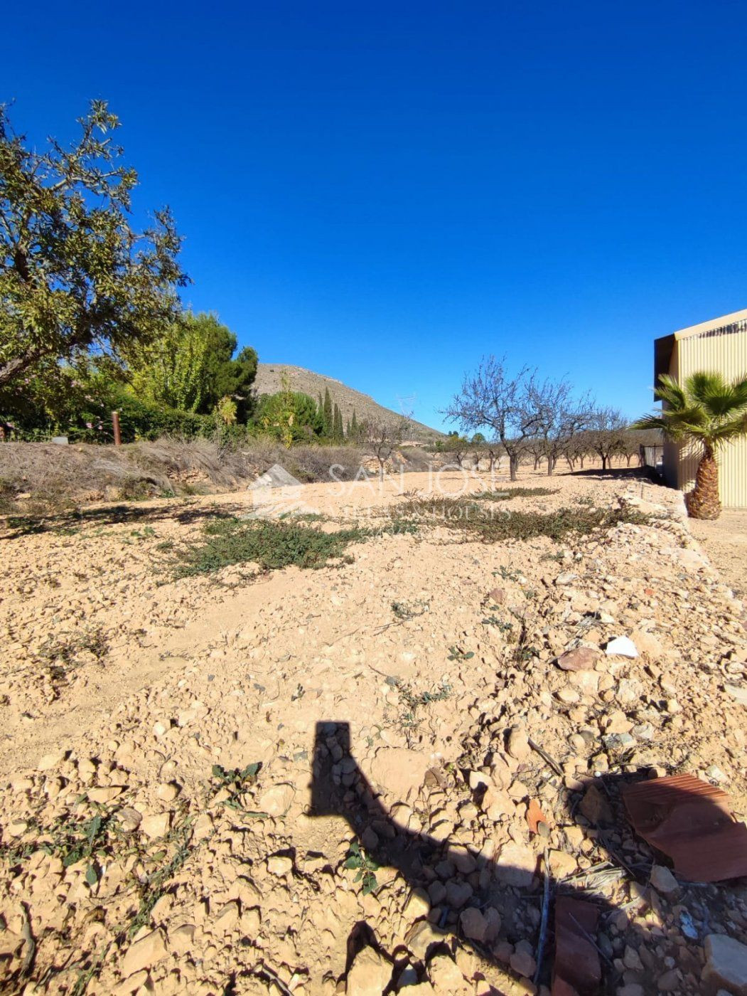 SE VENDE NAVE INDUSTRIAL EN LA ROMANA, SITUADA EN LAS CUEVAS - foto 4