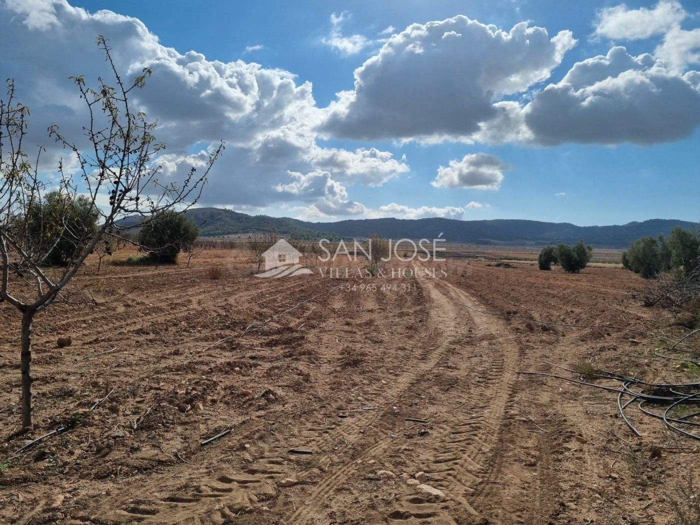 SE VENDE CASA CON TERRENO EN LA CAÑADA DE LA LEÑA (ABANILLA) SPAIN