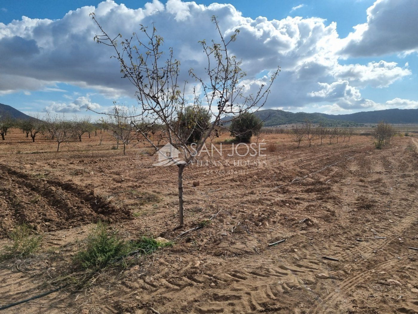 SE VENDE PARCELA EN CAÑADA DE LA LEÑA (ABANILLA) MURCIA