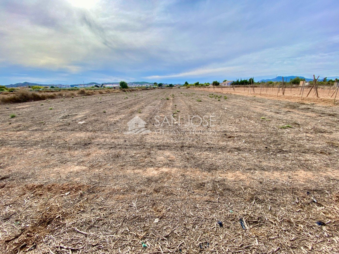 VENTA DE PARCELA EN ASPE EN LA ZONA PARAJE DE LA HORNA